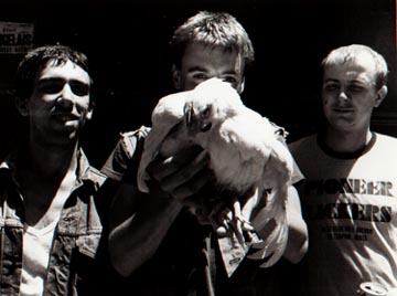 Killslug and uneaten chicken - 20.45 K